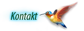 kontakt